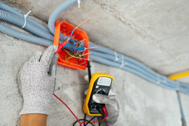 Best Electrician for Home Renovation  in Dortches, NC